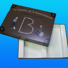 Boîte de jeu
