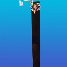plv