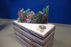 Habillage de Vitrine